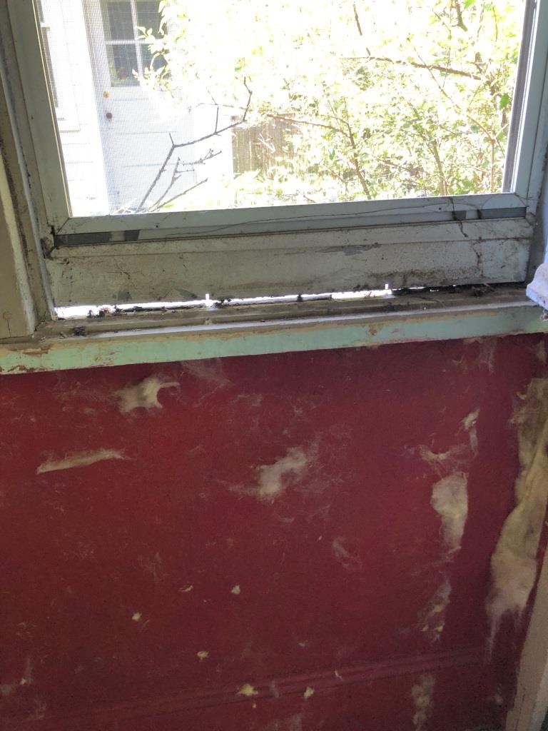 Close-up of the bottom of one of the windows with the blinds up showing a gap where the window should meet the frame.